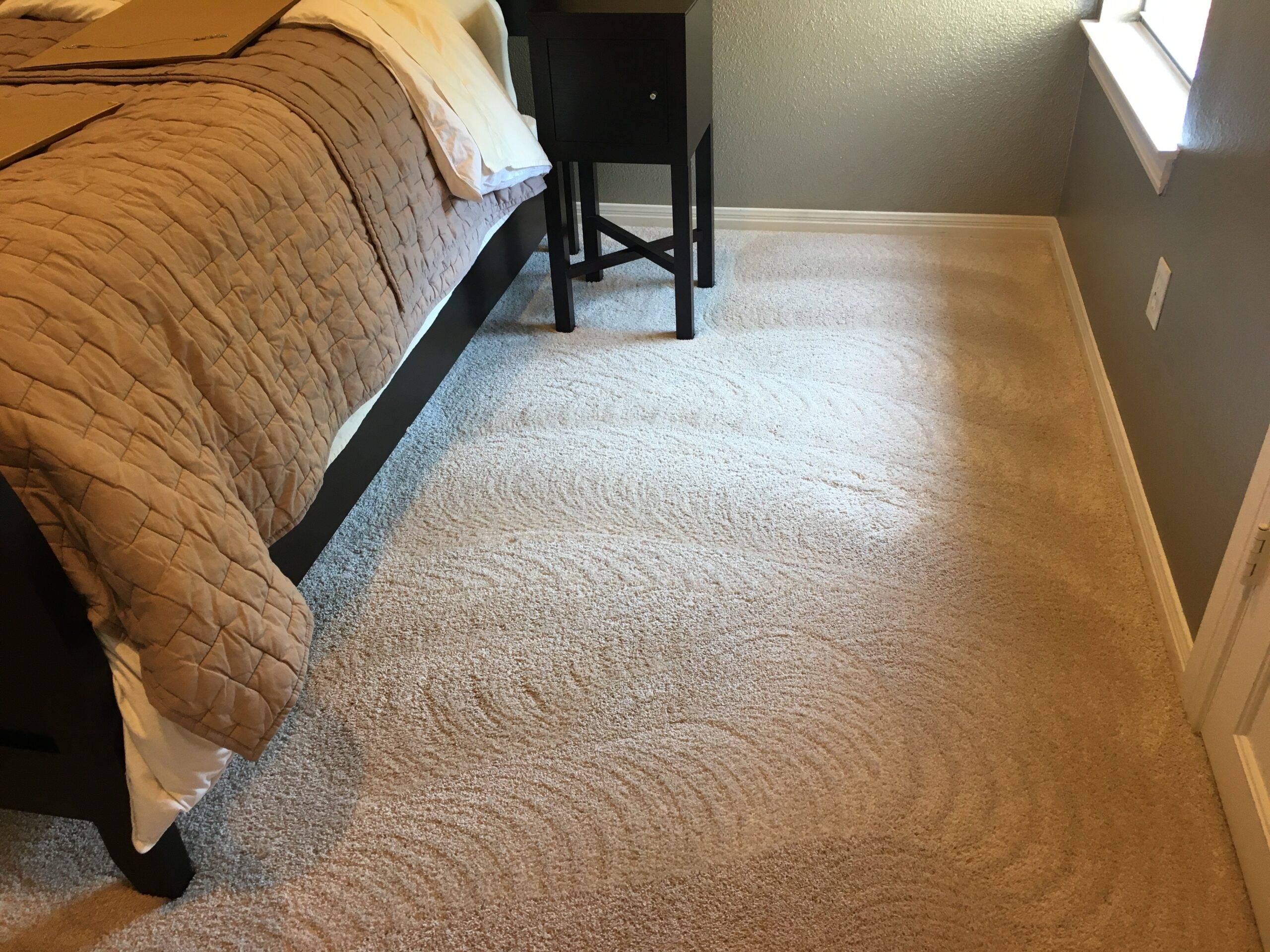 Rotary Deep Carpet Cleaning