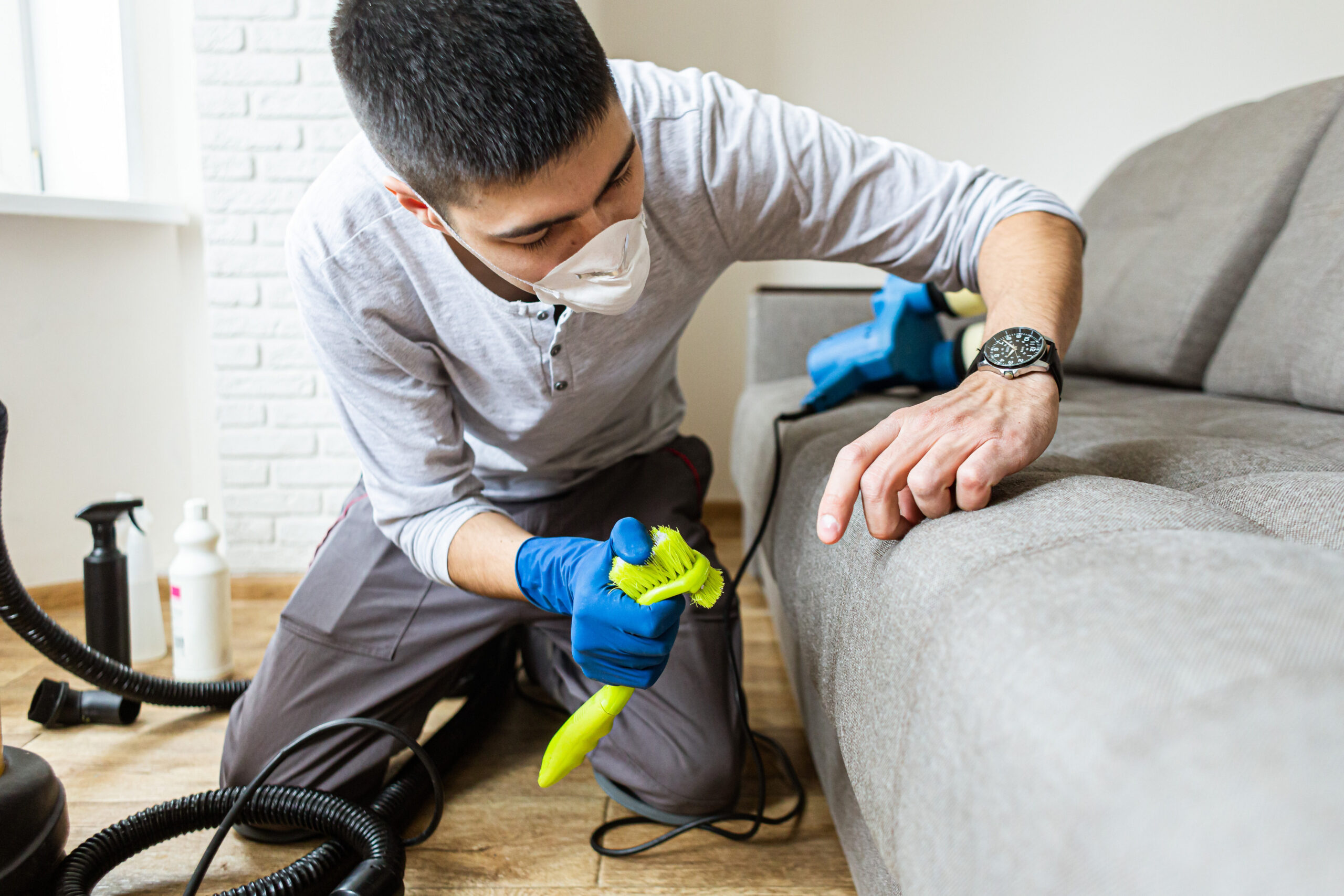 professional upholstery cleaning